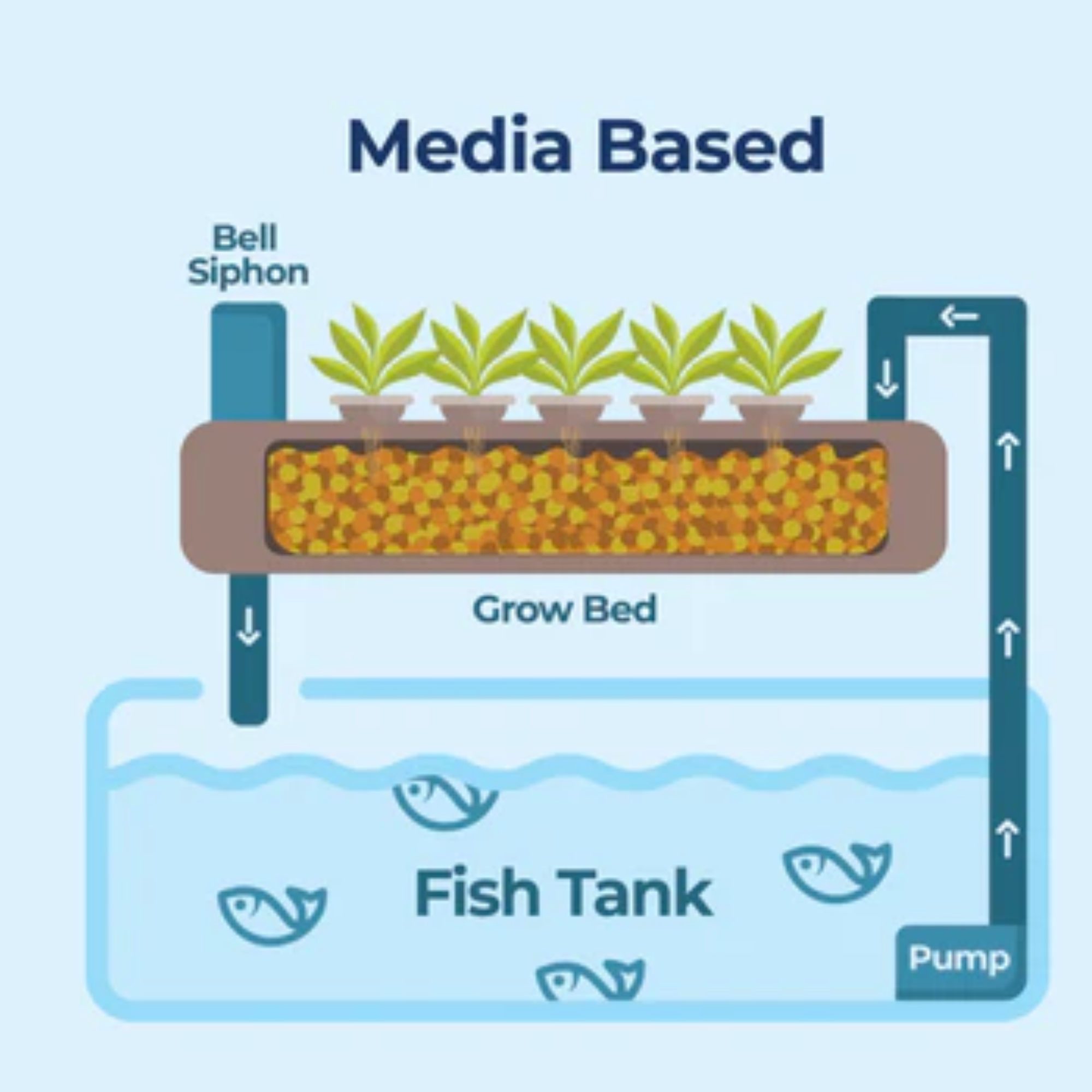 Classification, Location and Implementation